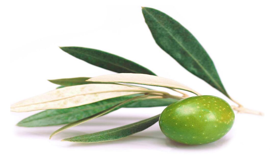 Olive leaves extract